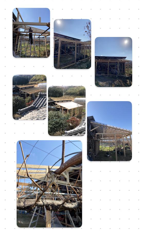 お久しぶりです。新規圃場と新しいチャレンジしています。