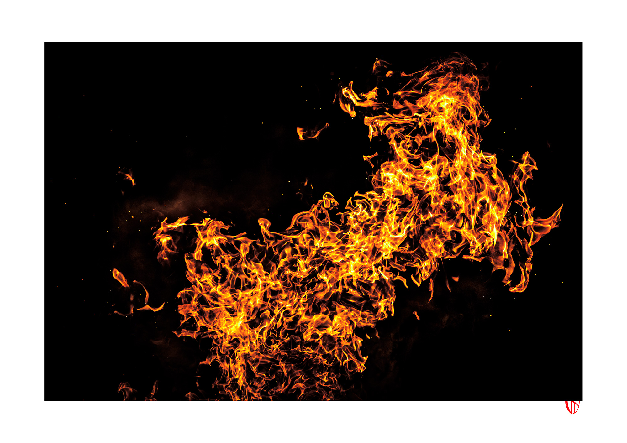 KG+84 浜中悠樹 写真展 "ゆらぎ -かたちのないカタチ” 4/18Sat ~ 4/26Sun