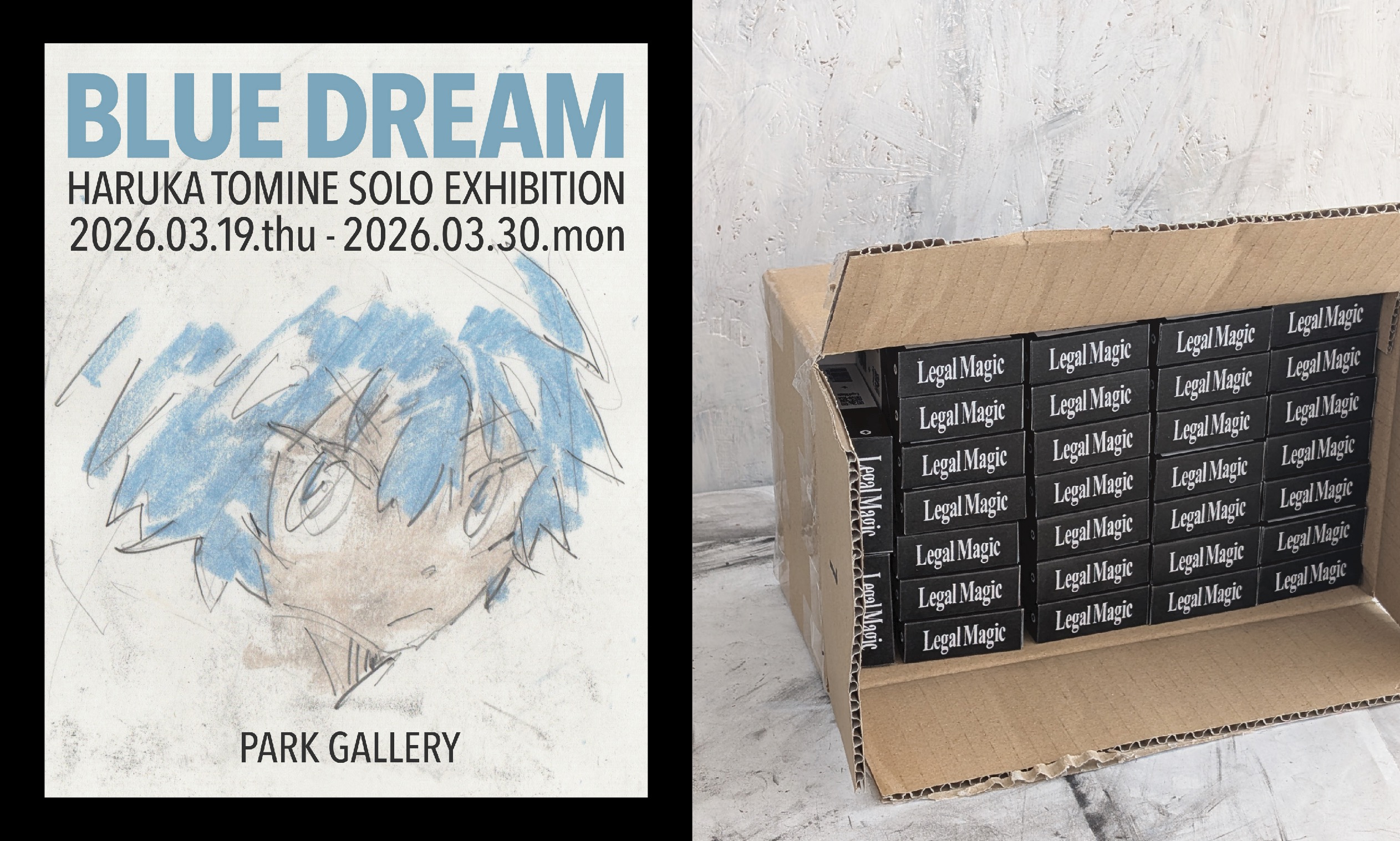 exhibition BLUE DREAM