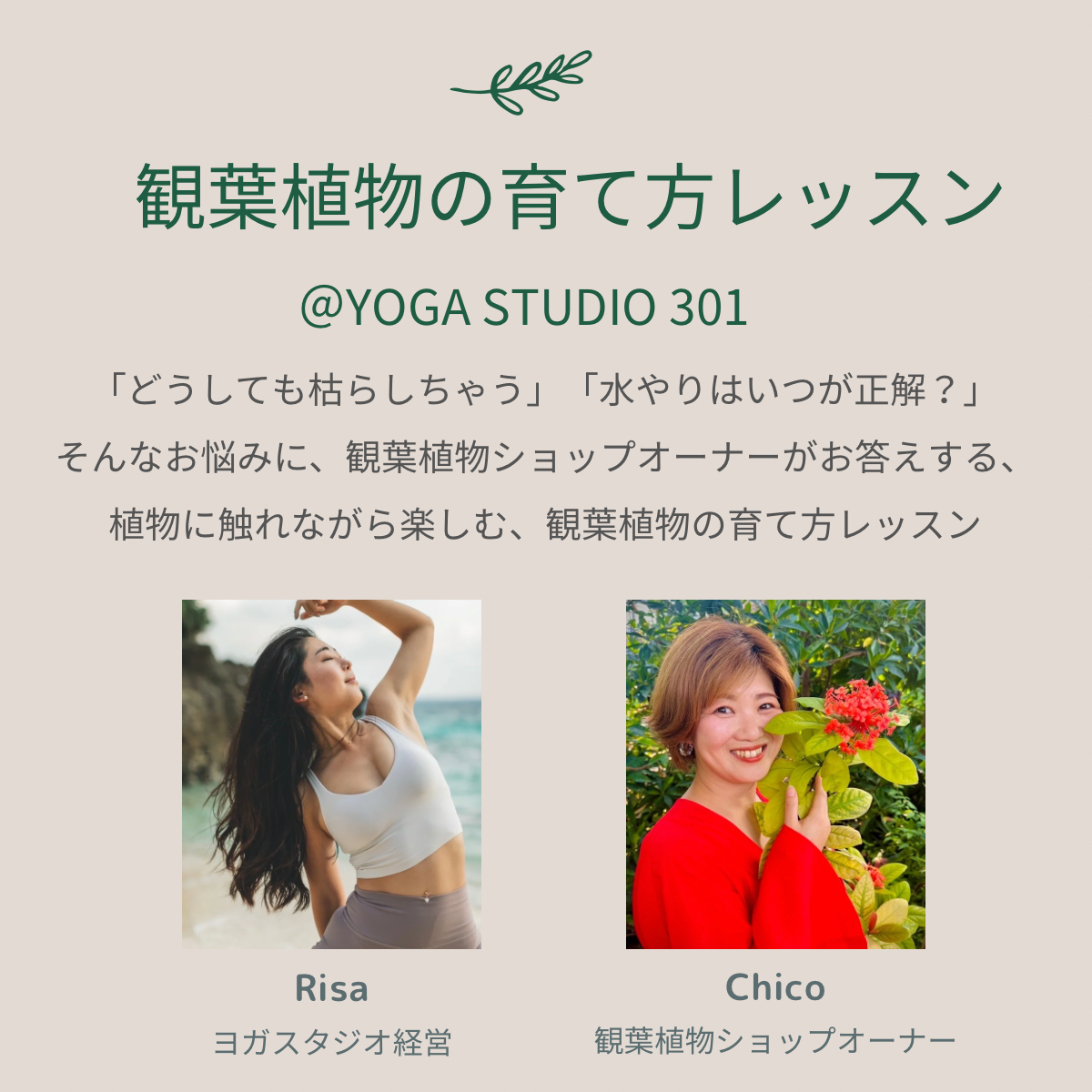 観葉植物の育て方レッスン、リアル会開催