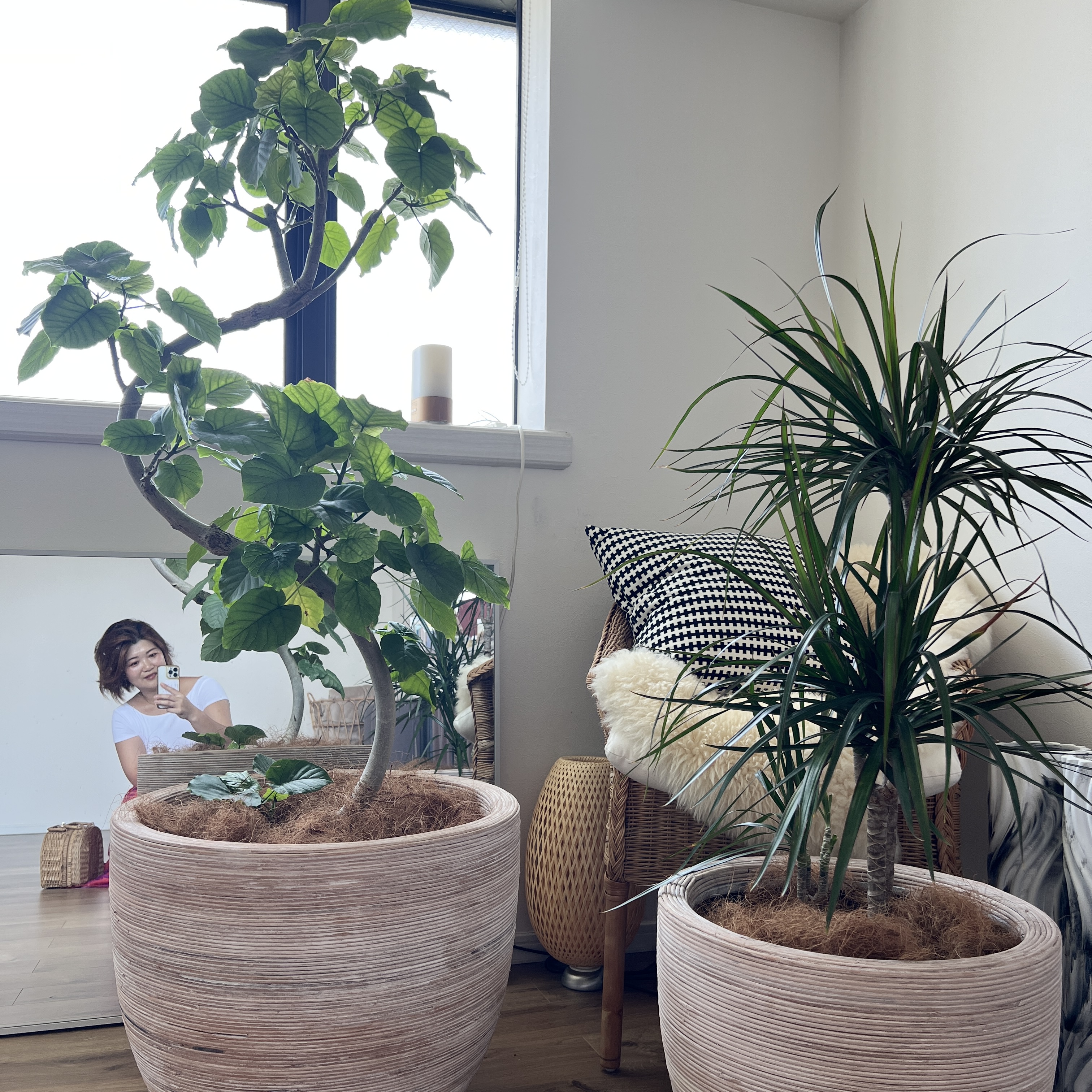 植物をうまく育てられない→全ての植物が元気に！