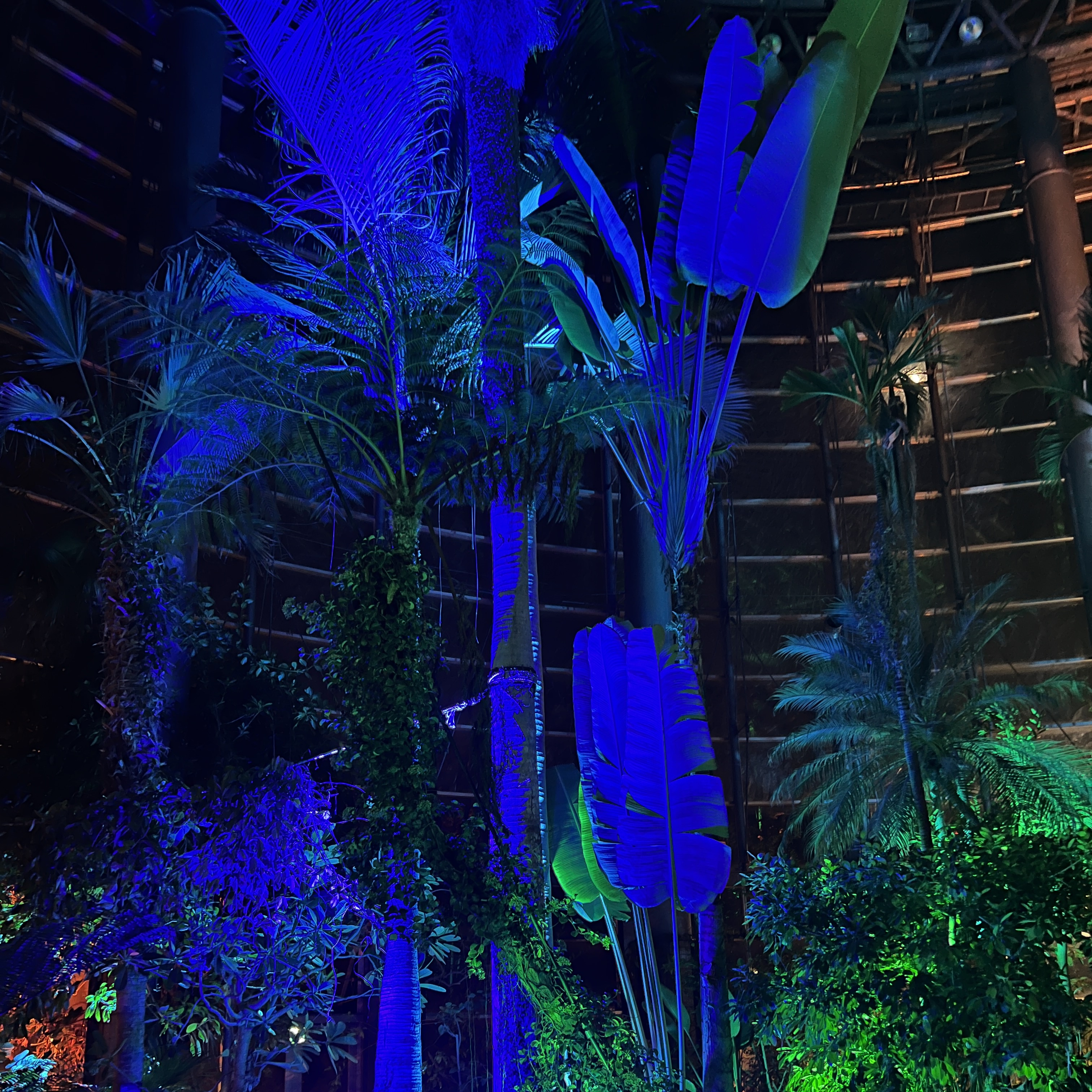 夜の植物園は、南国そのもの