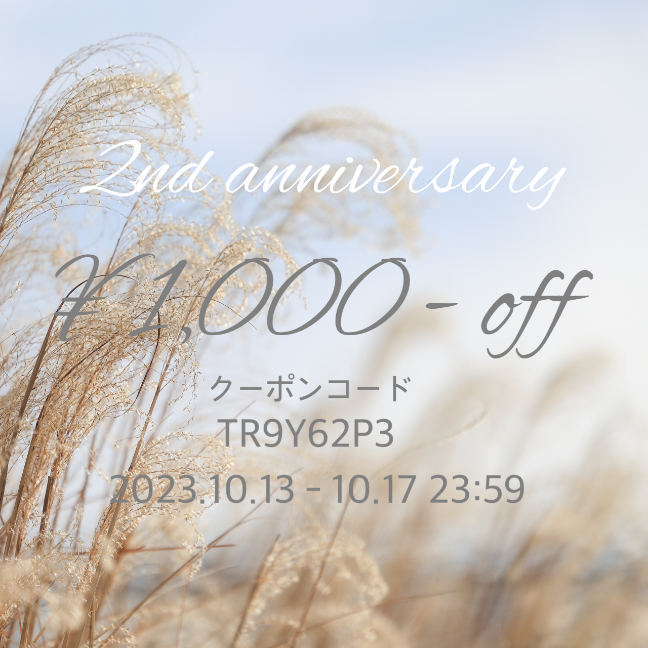 2周年感謝デー¥1000-クーポン