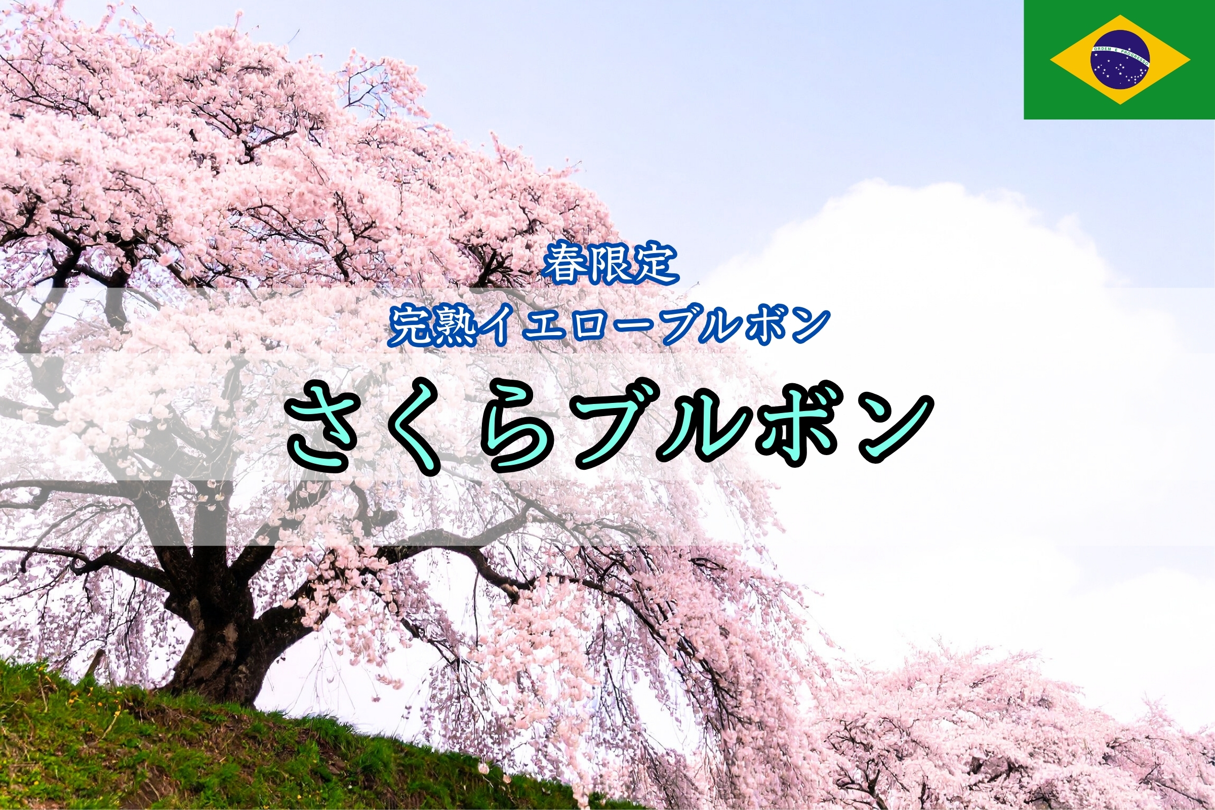 商品入荷のお知らせ（さくらブルボン）