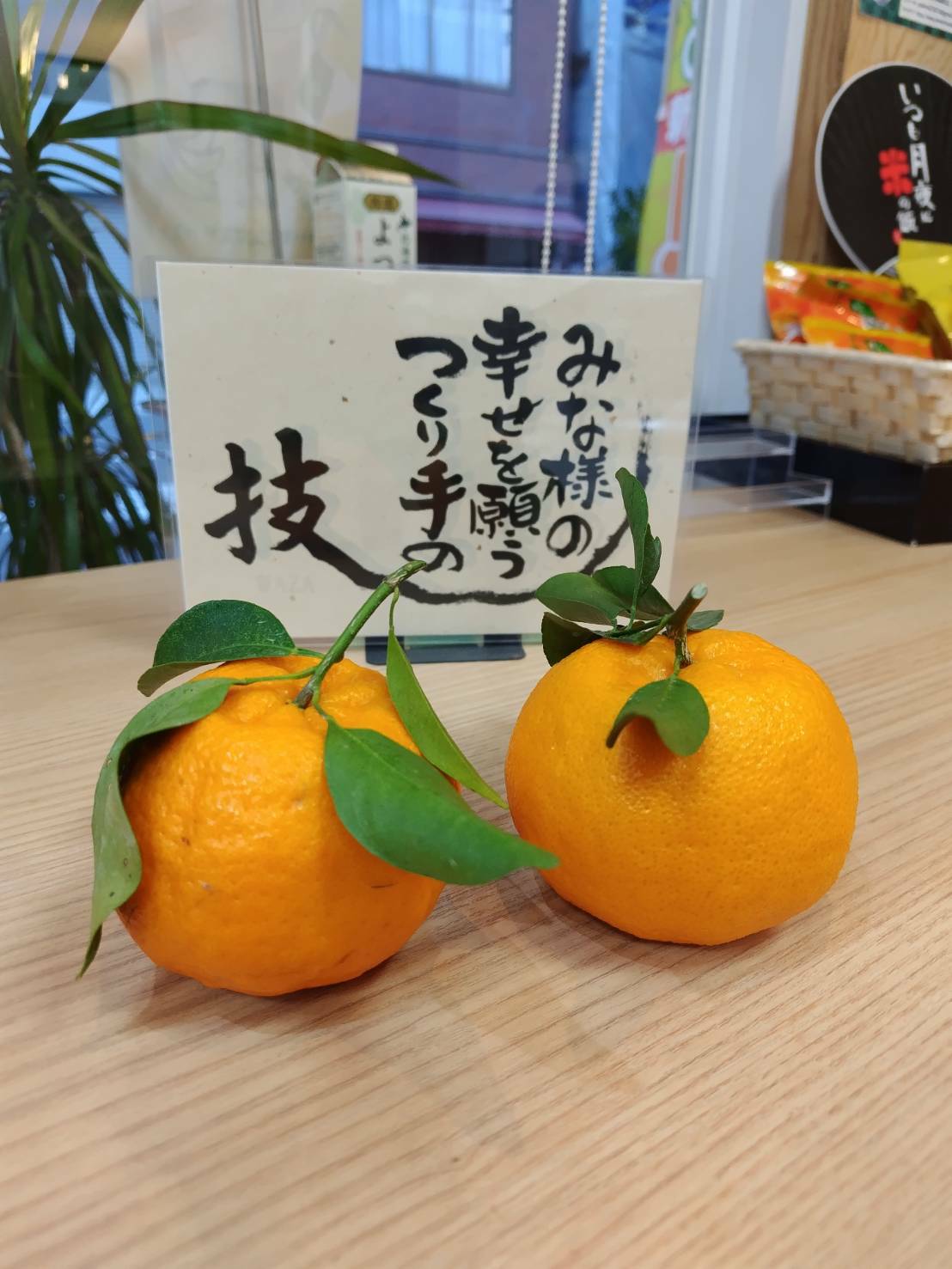 和歌山のポンカンが入荷しました