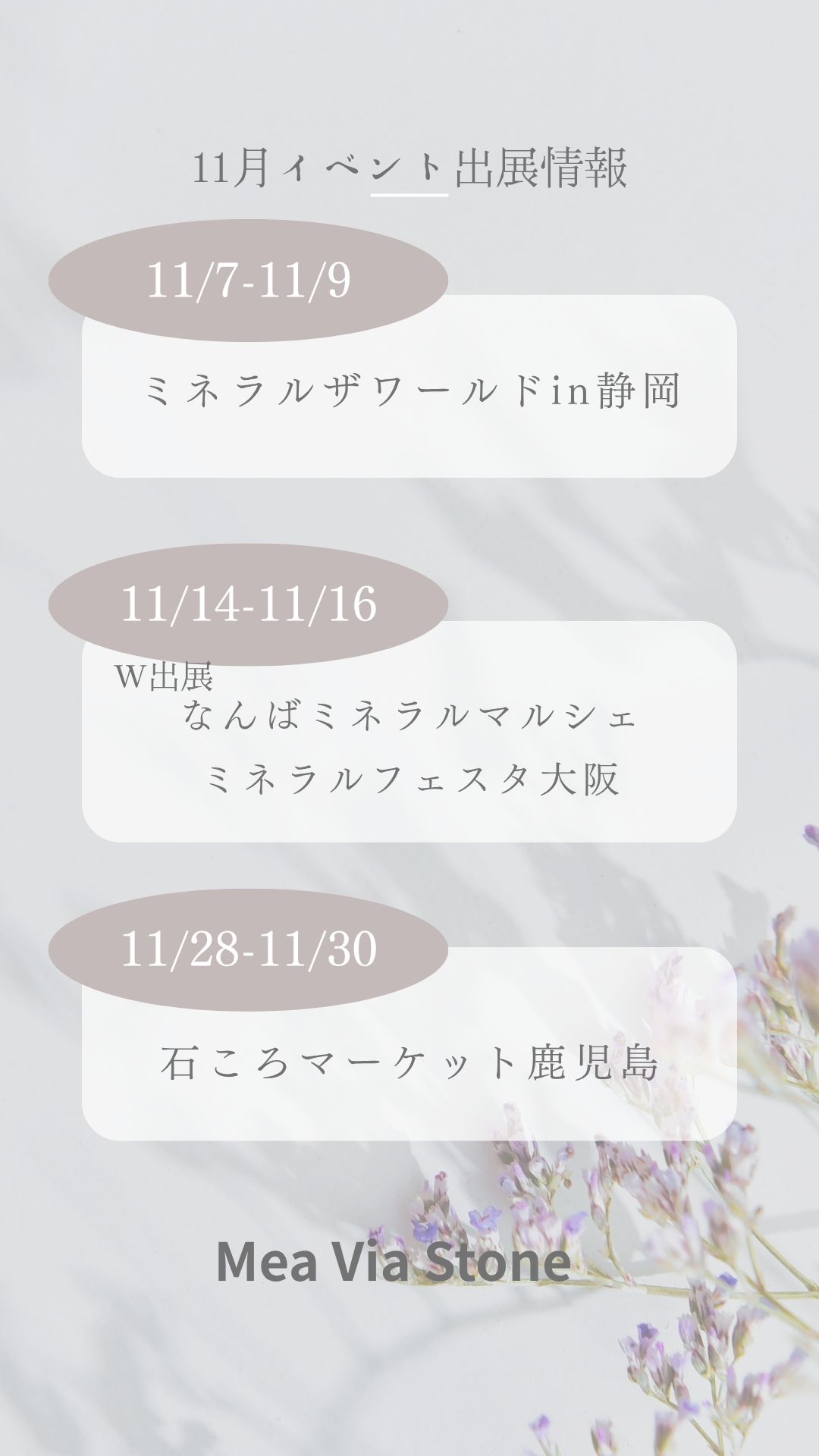 ✨11月のイベント出展情報✨
