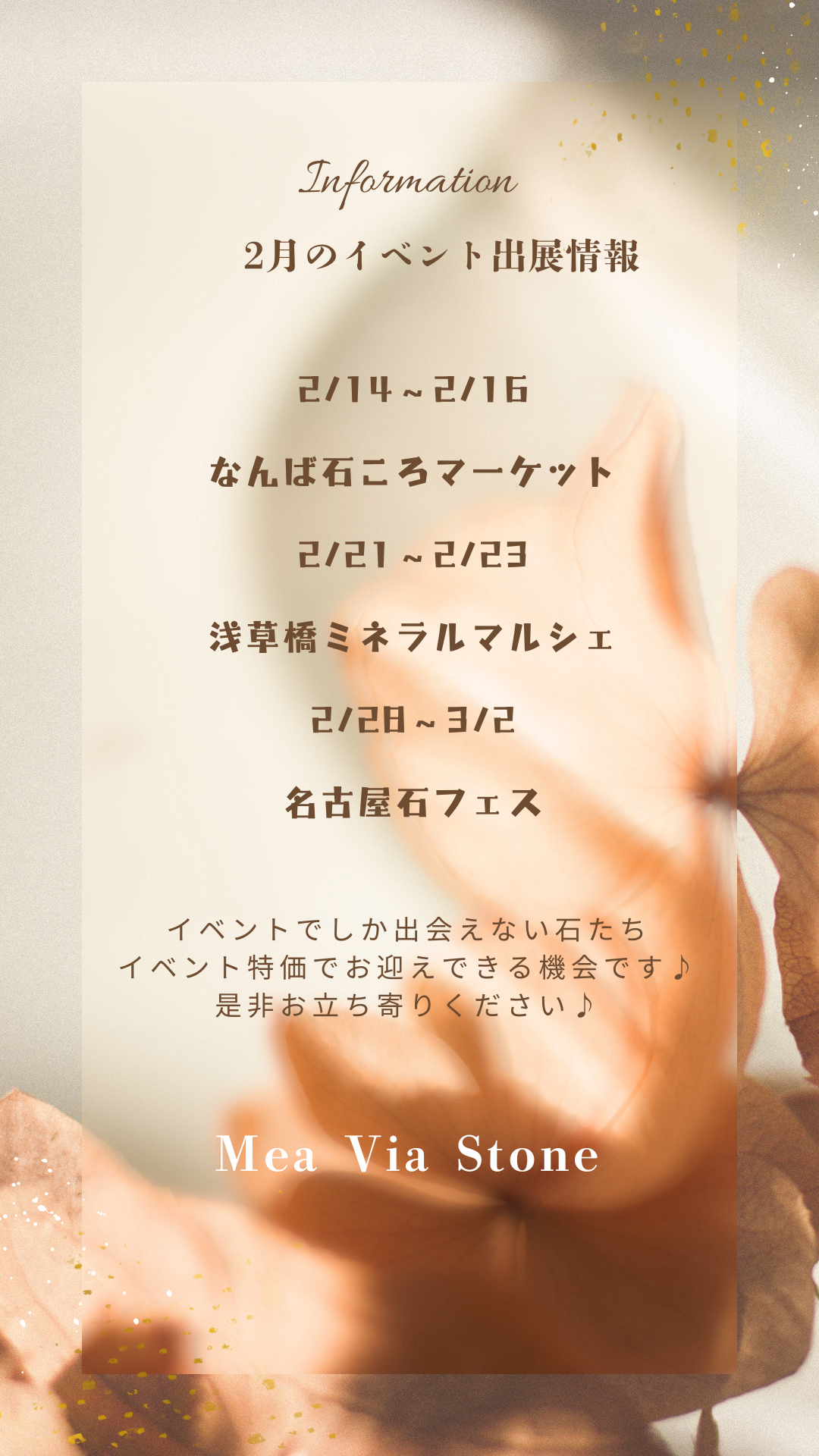 ２月のイベント出展情報