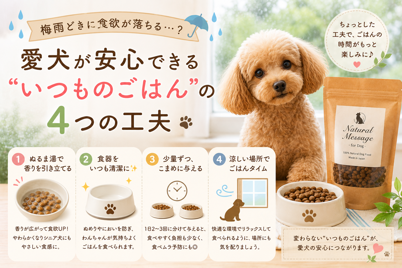 梅雨どきに食欲が落ちる…？ 愛犬が安心できる“いつものごはん”の4つの工夫