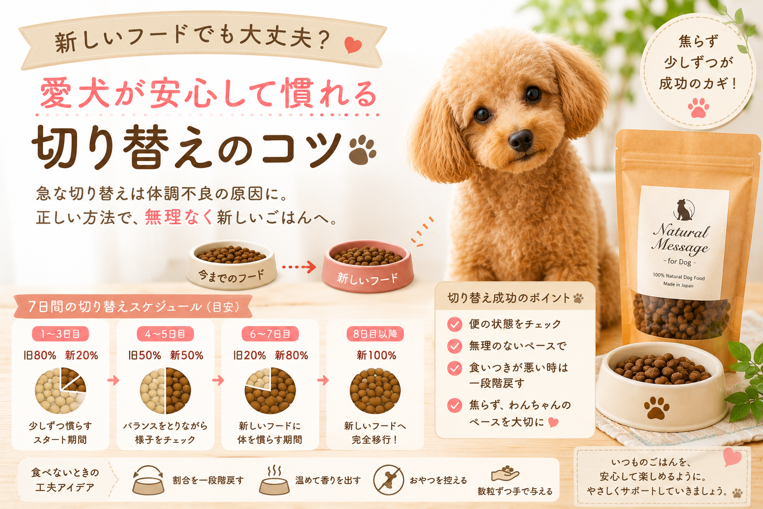 新しいフードでも大丈夫？ 愛犬が安心して慣れる切り替えのコツ