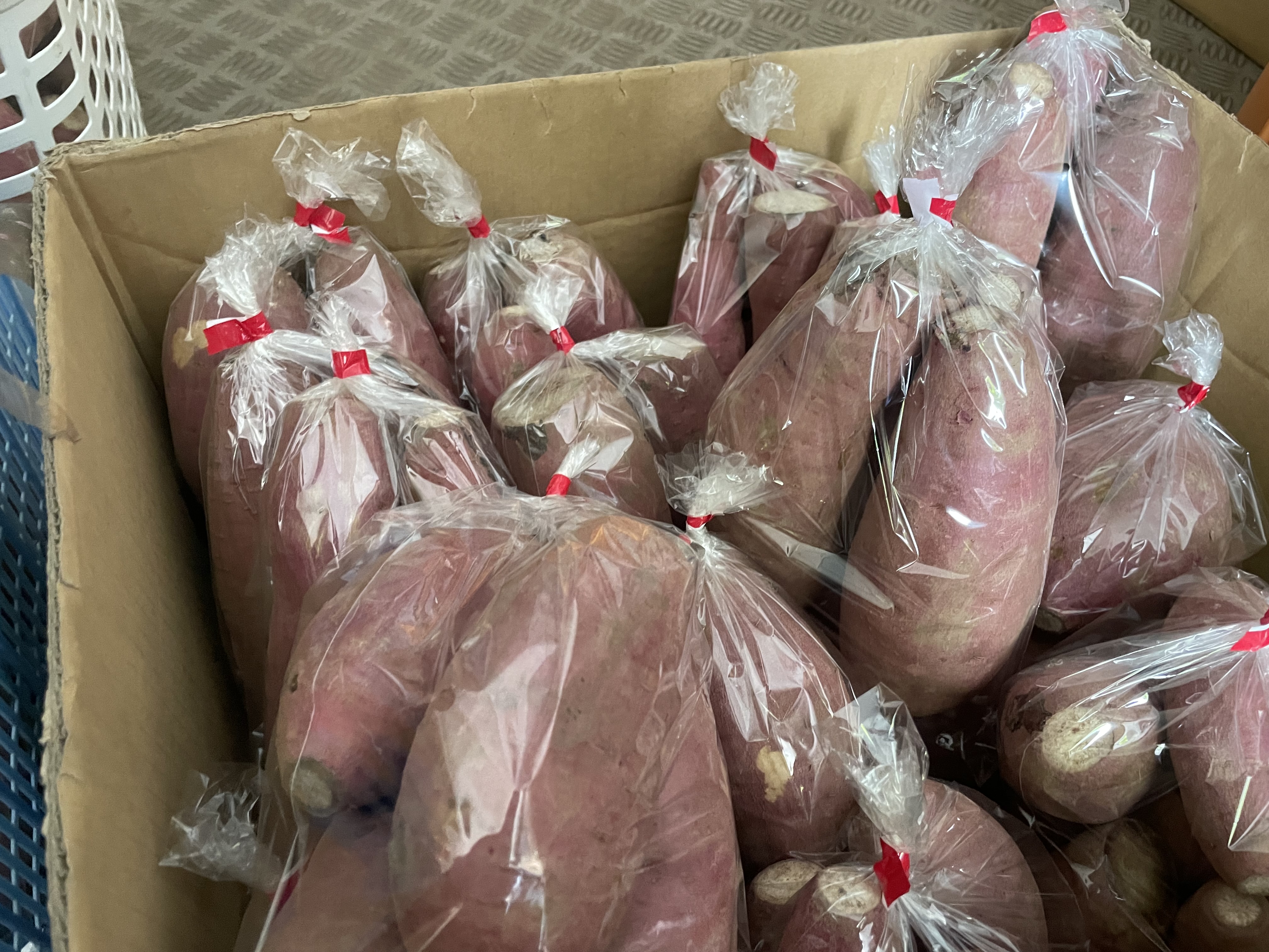 はじめまして。瀬崎農園の「YUMI」です。