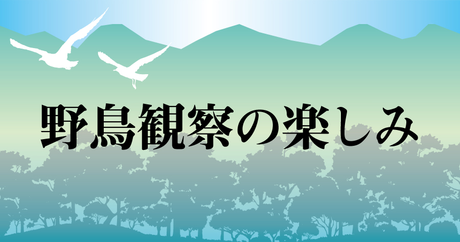 野鳥観察の楽しみ　稀に見られるキレンジャク