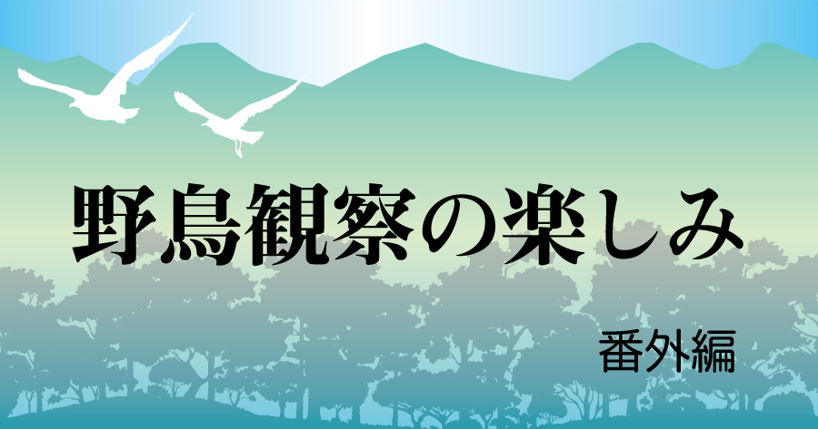野鳥観察の楽しみ【番外編】　三景園の丸佳浩