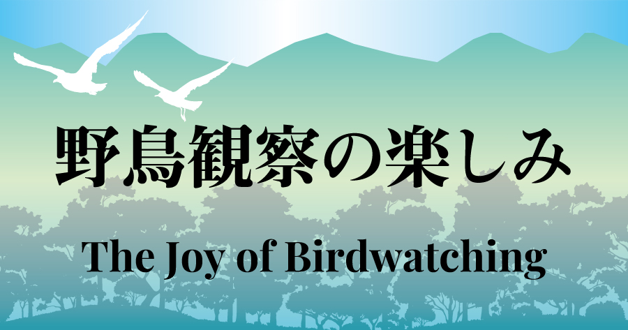 野鳥観察の楽しみ　夏期のカルガモ