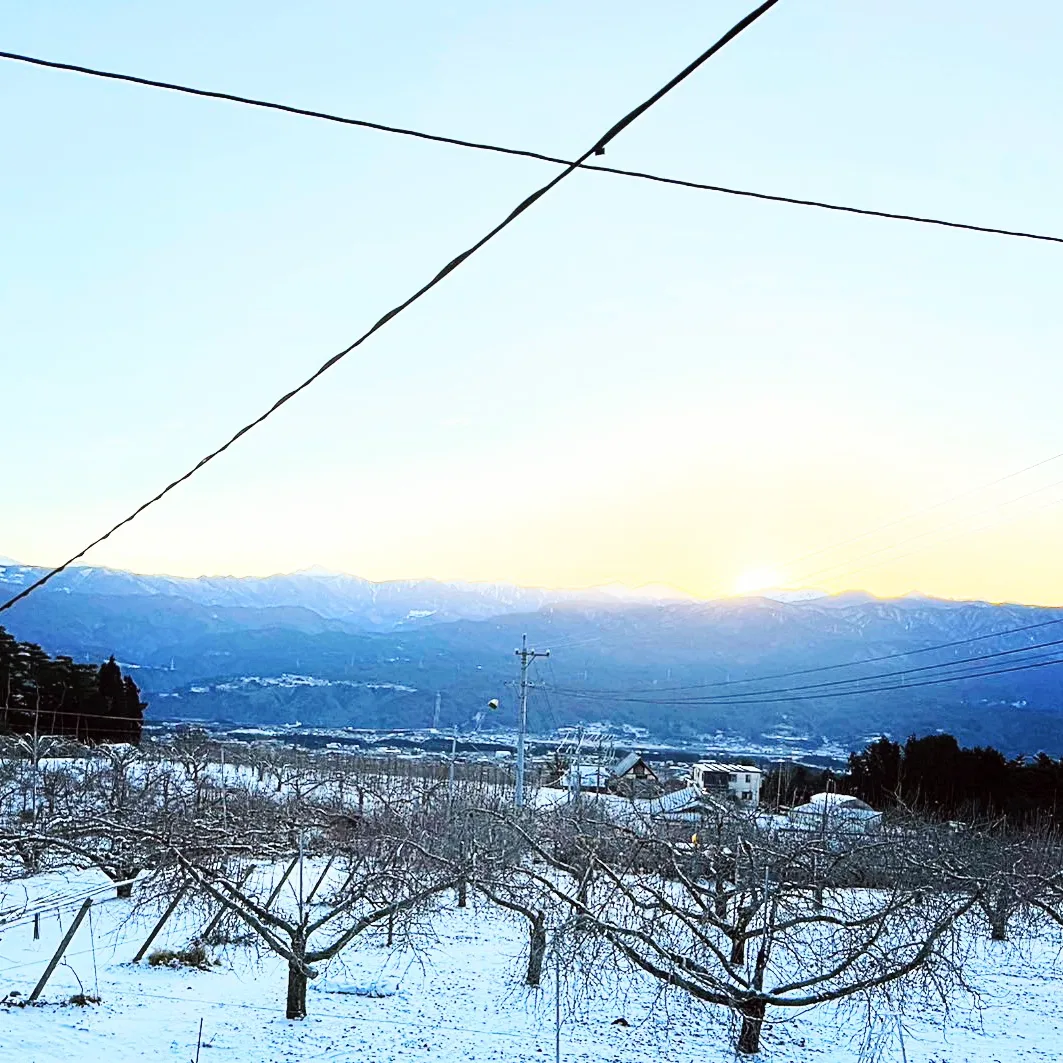 【雪の朝】