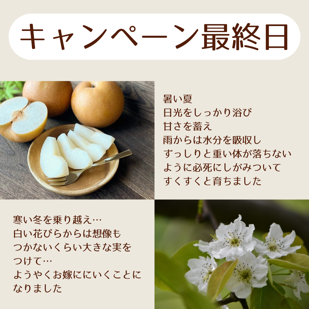＜本日キャンペーン　ラスト！＞