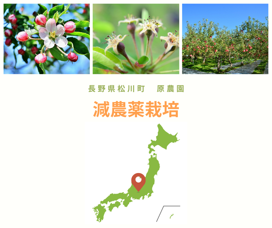 【ふるさと納税　ふるさとチョイス、ふるなび掲載開始】