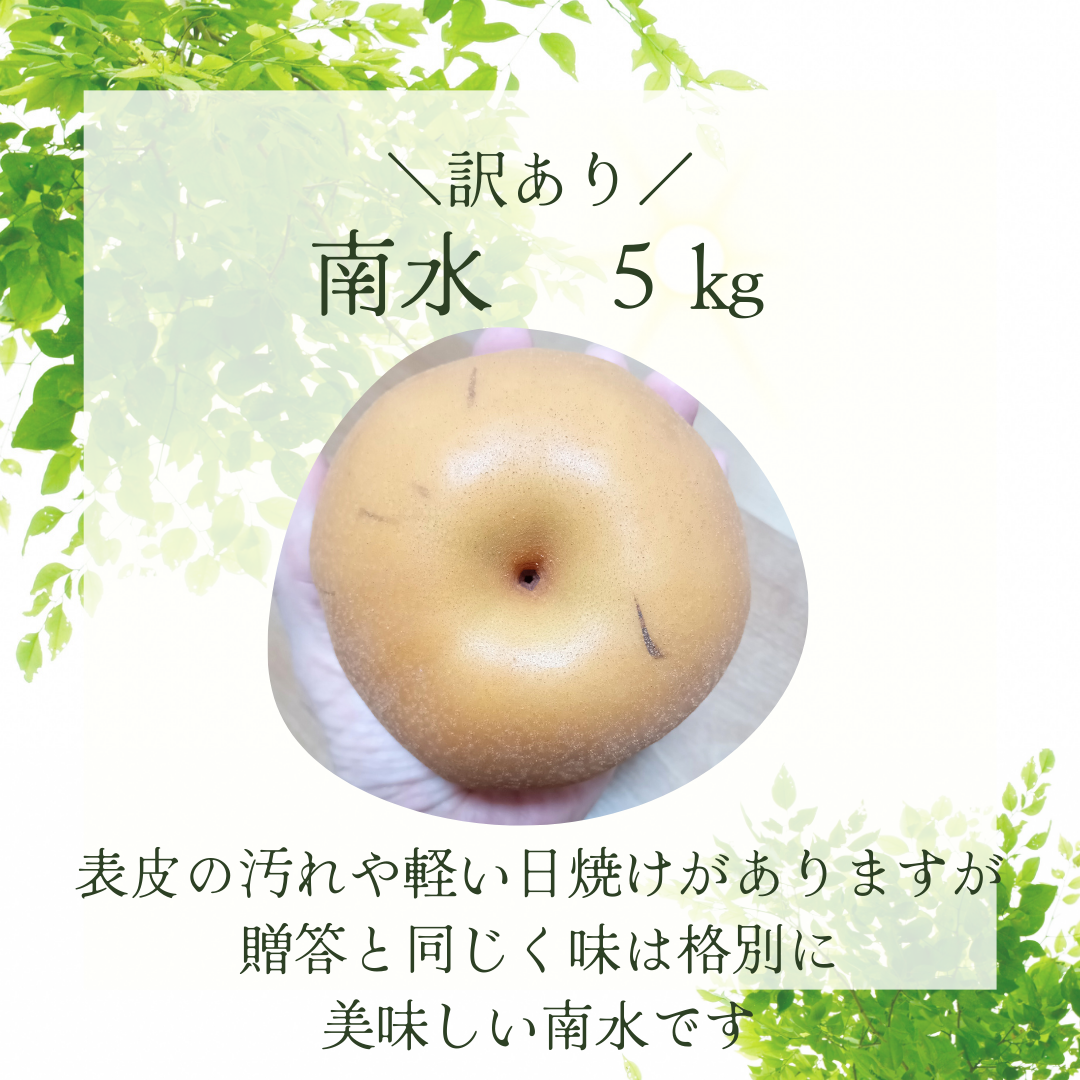 【訳あり南水　5㎏】お得に販売します！