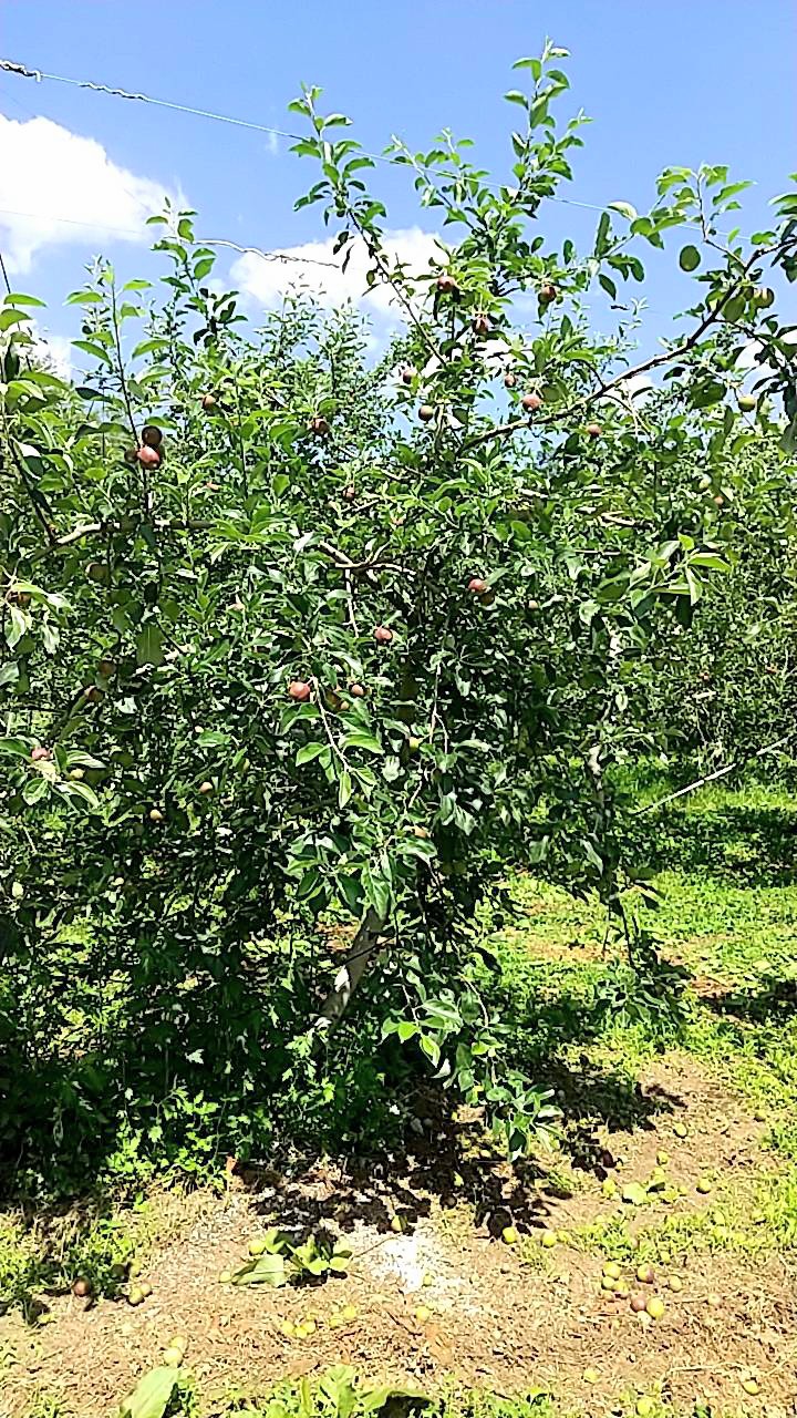 【一ヶ月ぶりの更新💦】