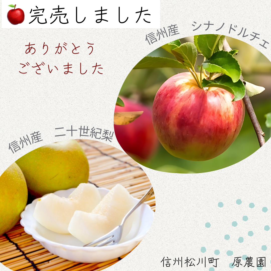 【二十世紀梨、シナノドルチェ　完売しました】