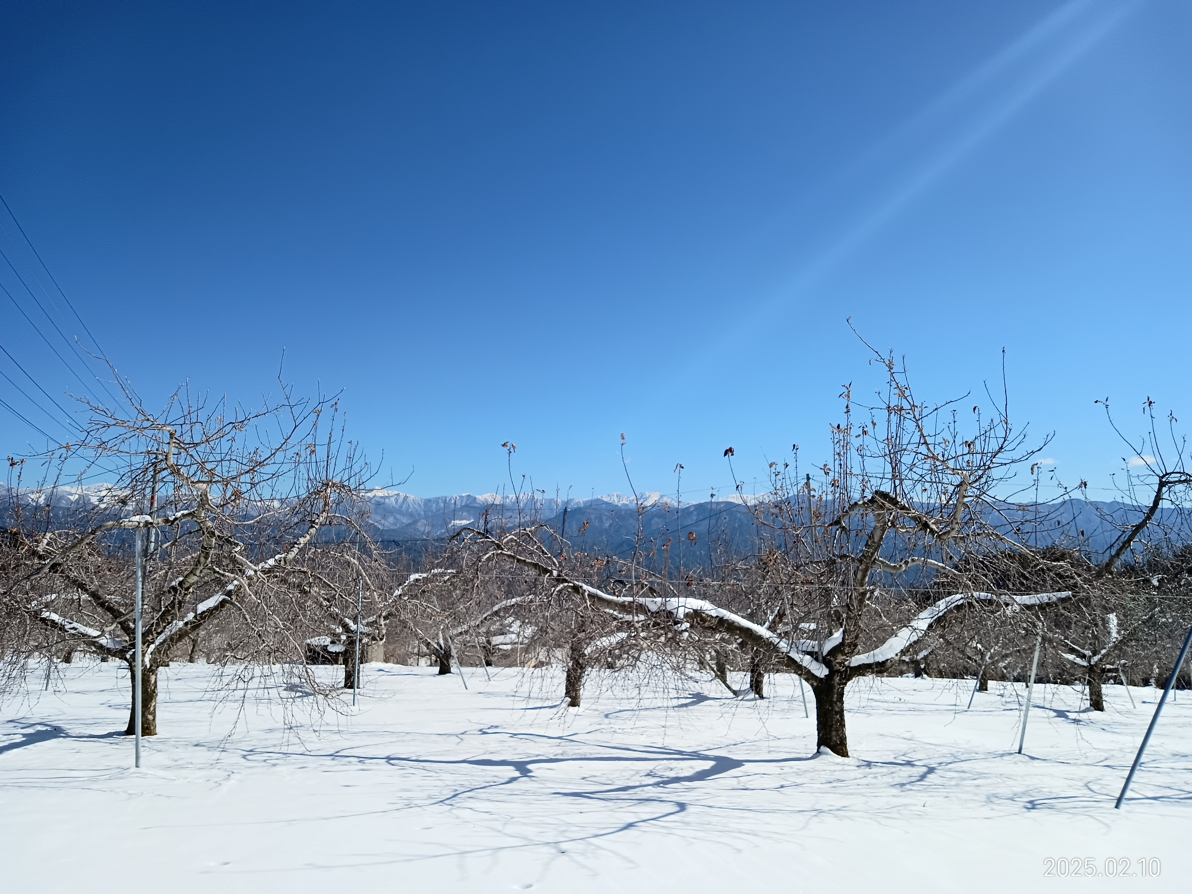 【雪景色】