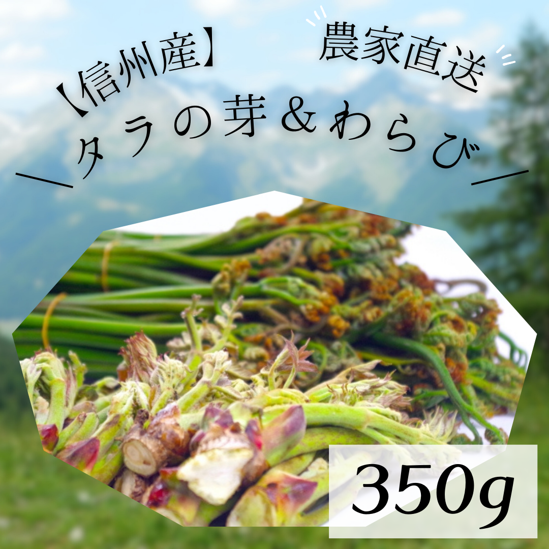 【リクエストにお応えして　山菜お試しセットを作りました】