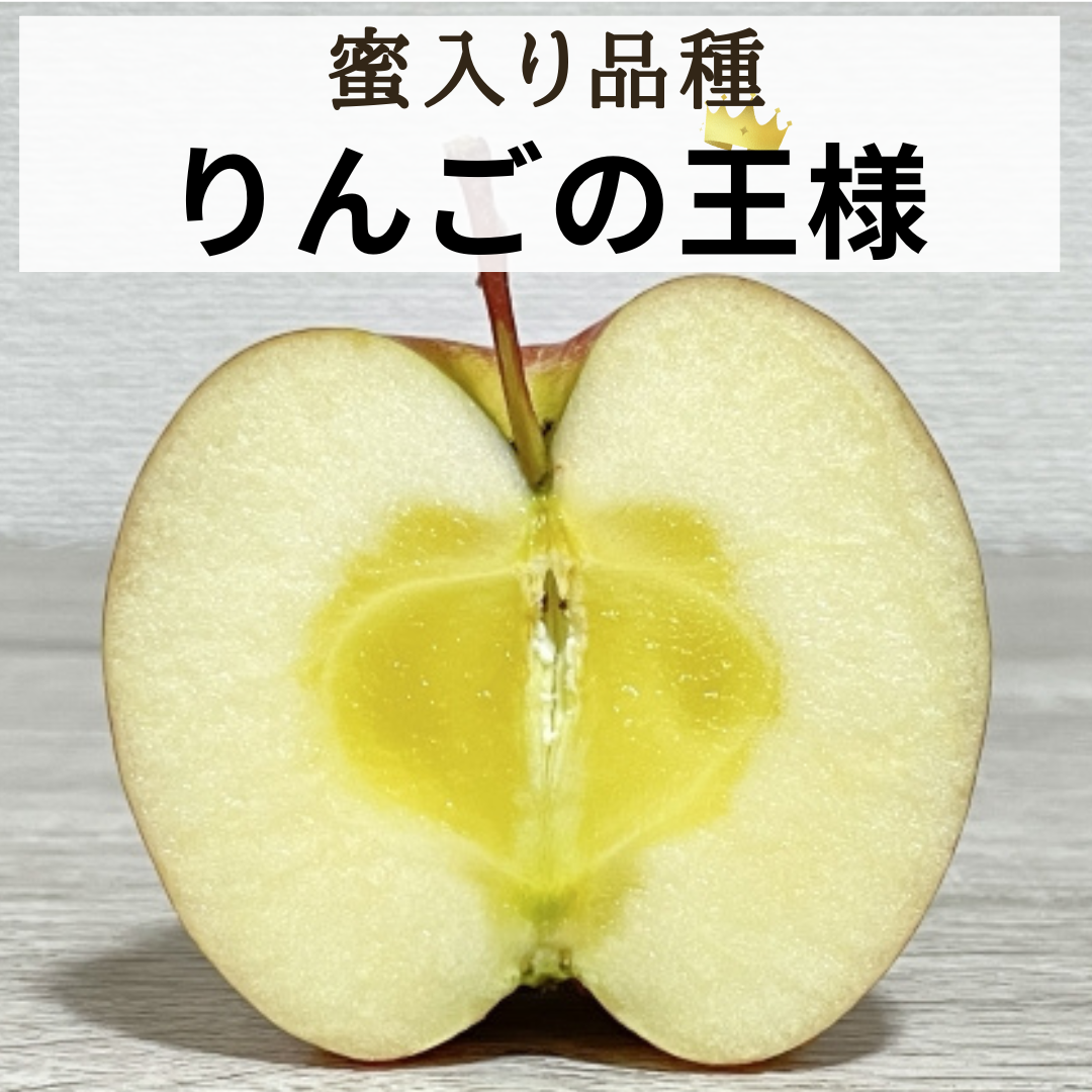 ＼人気のサンふじ予約開始します🍎／