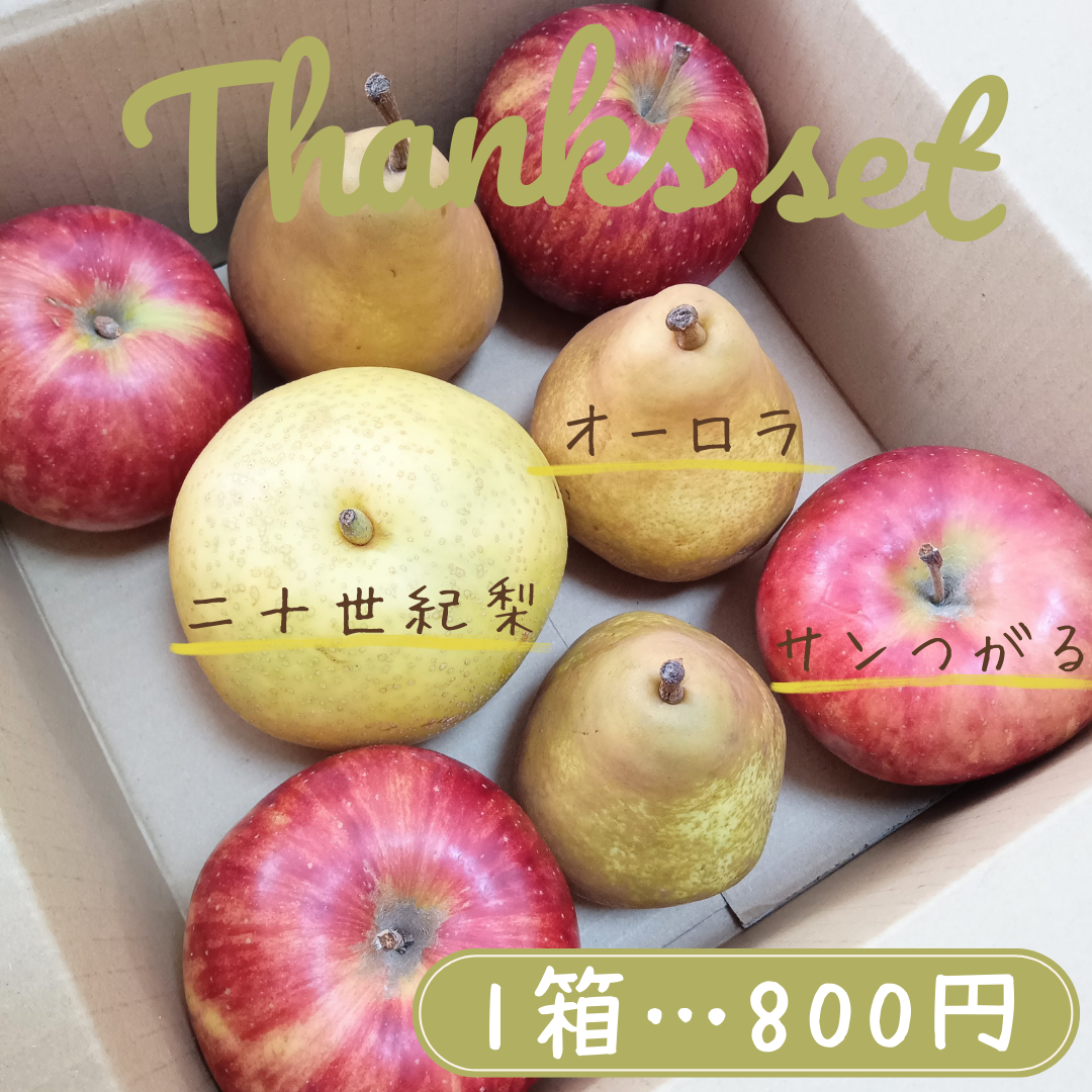 【Thanks　set　決定しました】