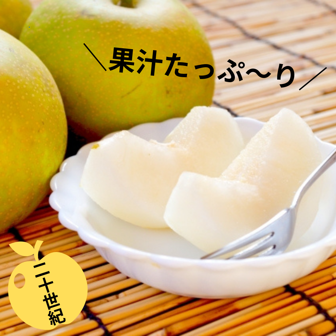 【二十世紀梨　マルシェで販売予定】