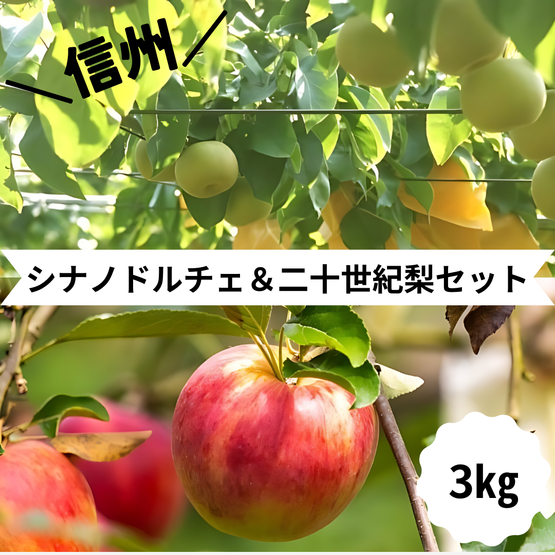 【メルカリショップスにてシナノドルチェ＆二十世紀梨セット予約販売開始しました】