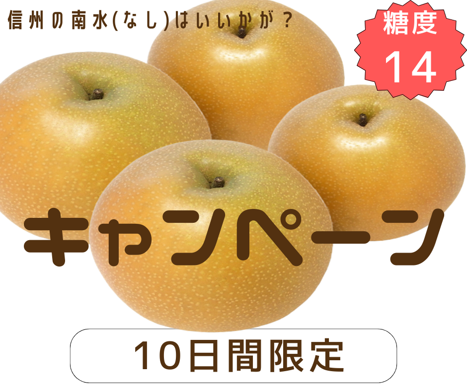 ＜南水3㎏キャンペーン！＞