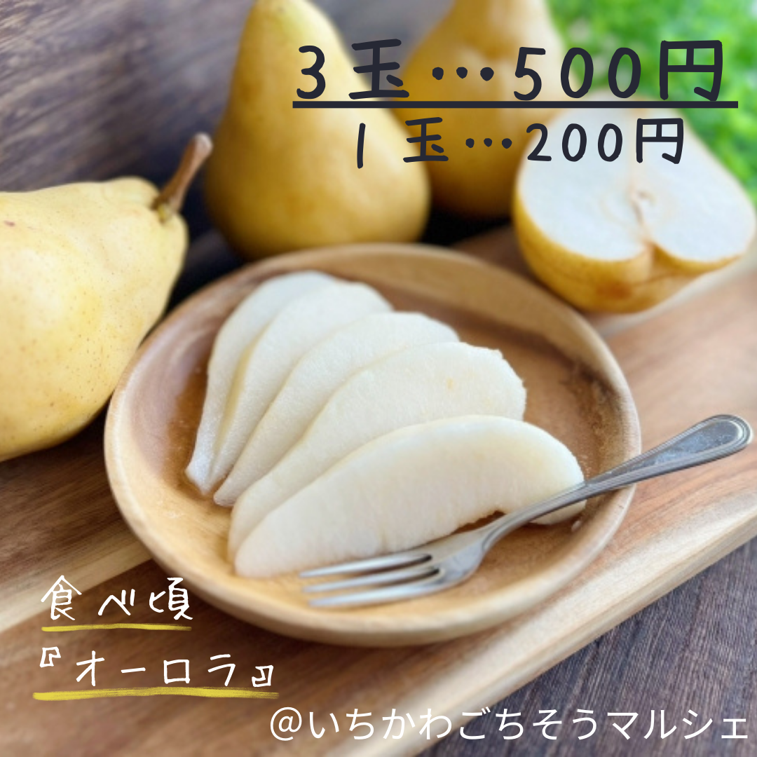 【９月14日　いちかわごちそうマルシェ出店】