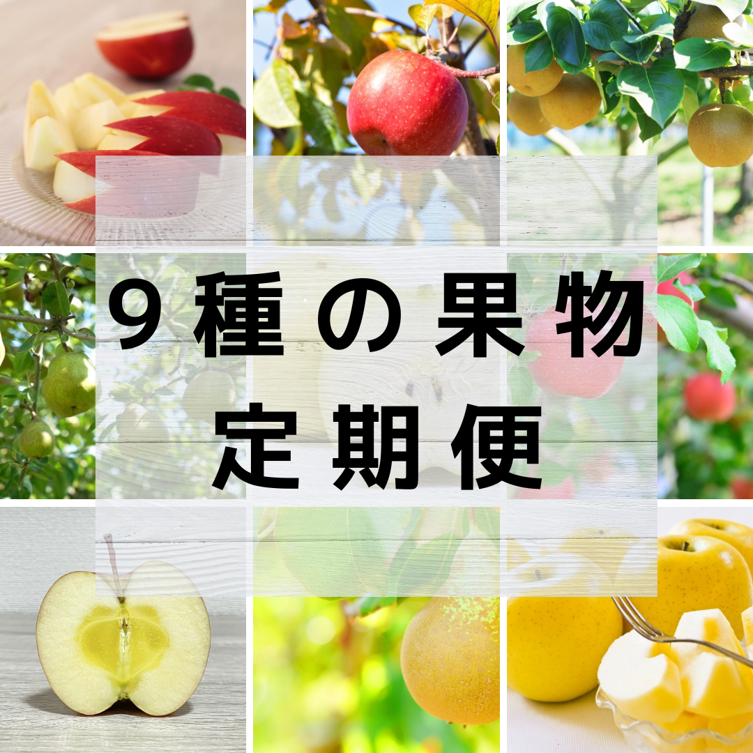 【原農園のくだもの　食べ尽くしセット】