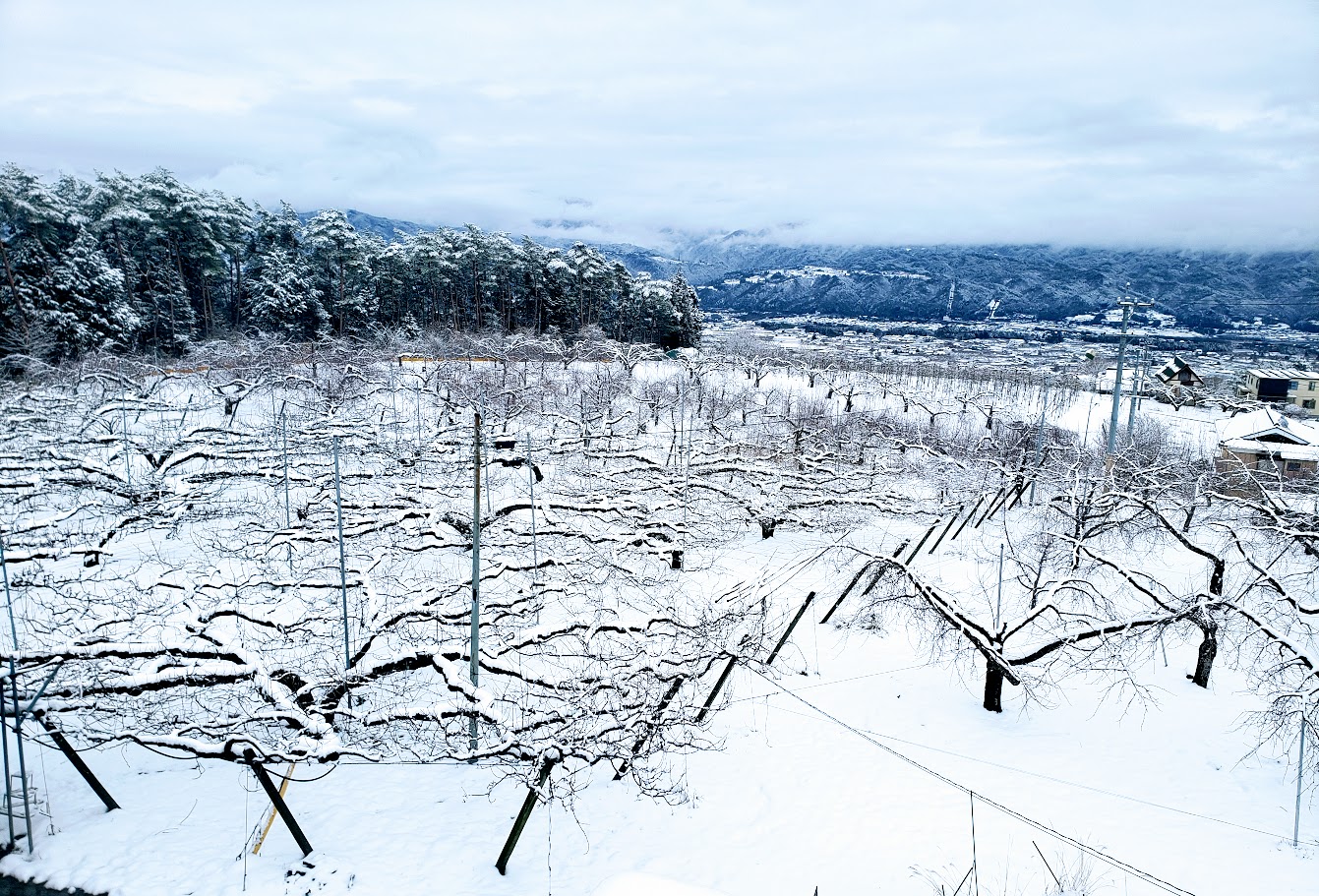 【あたり一面雪景色】