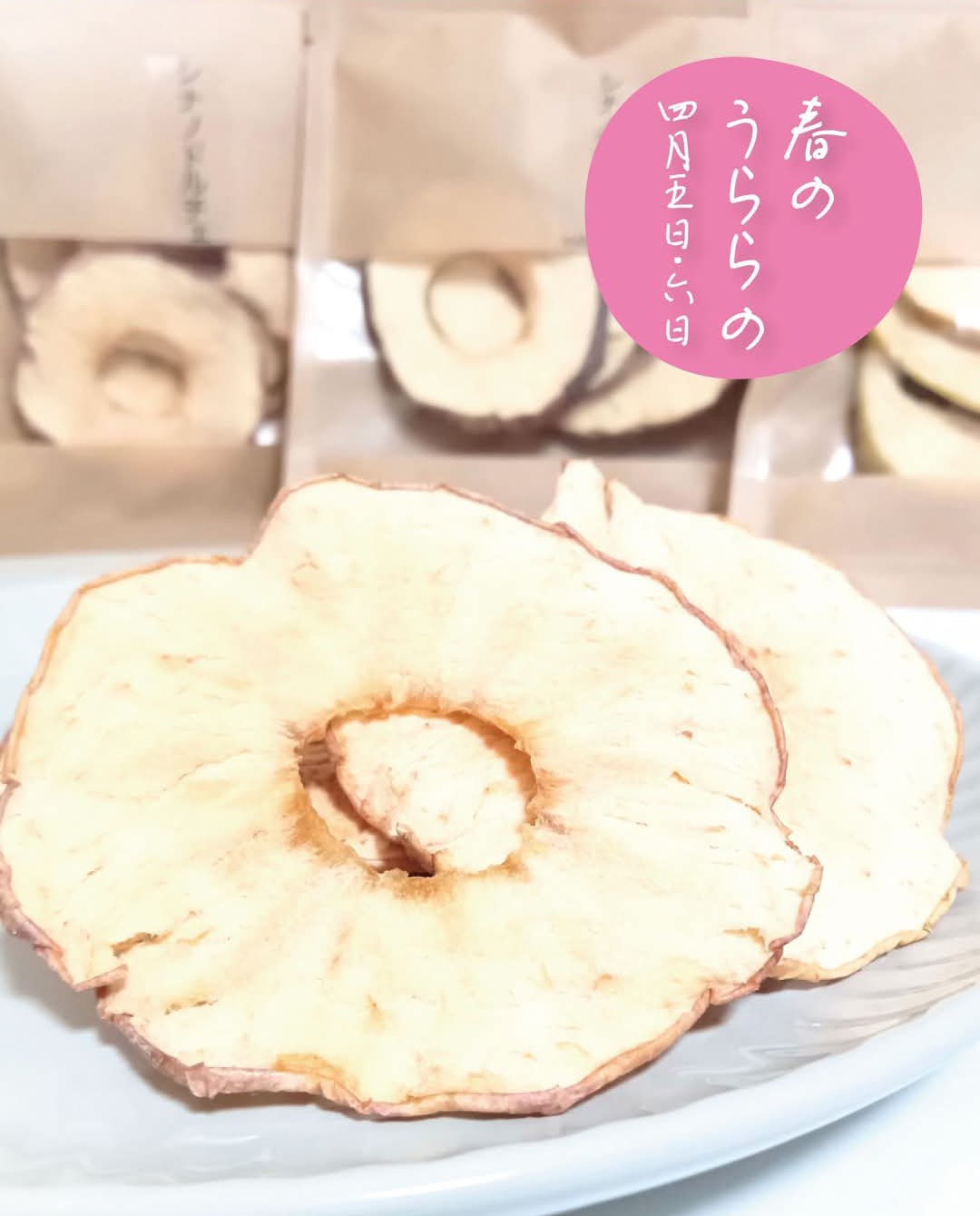 【4/6隅田川マルシェ　@石川島公園】