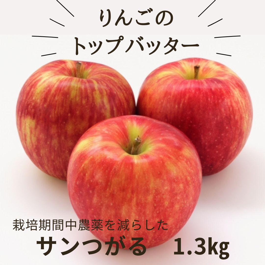 【サンつがる、オーロラ発送開始します】