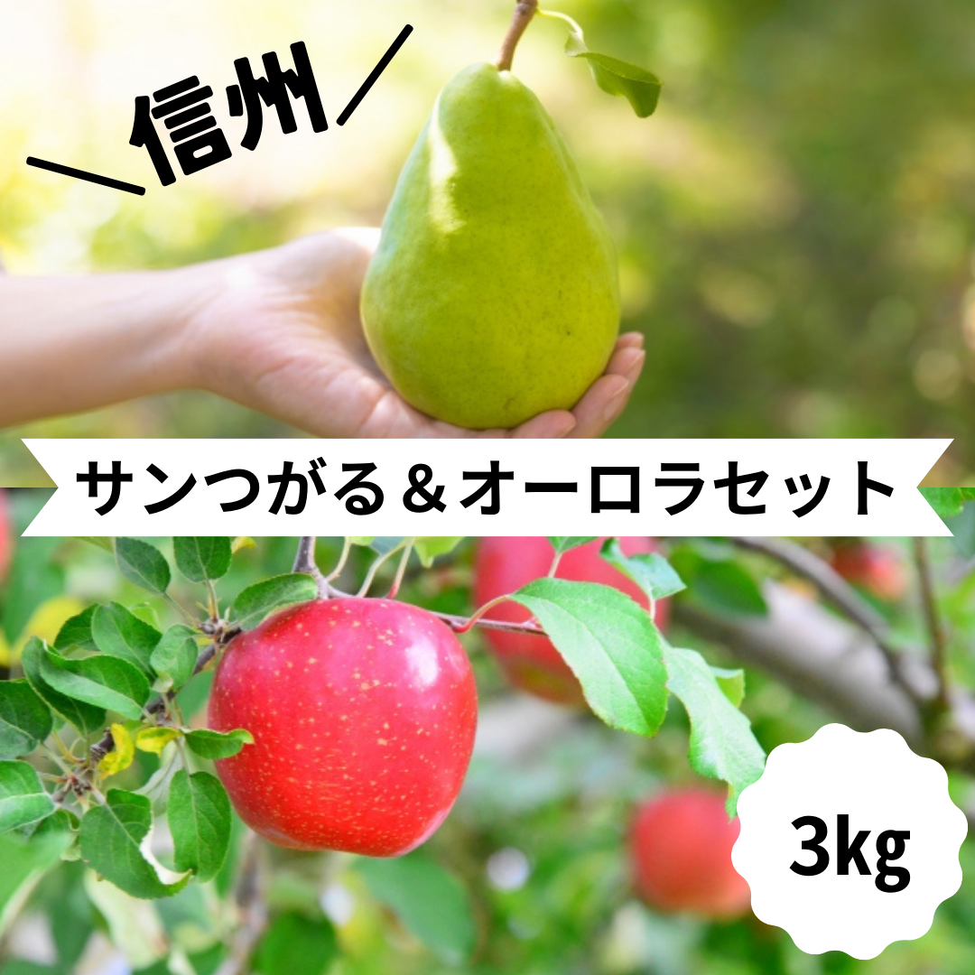 【くだもの予約　14日～開始します】