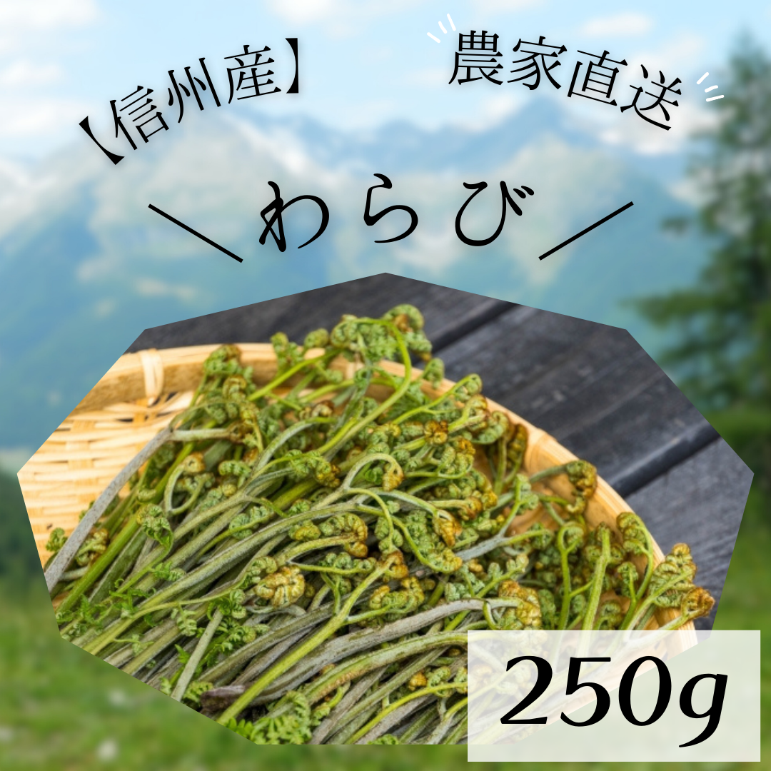 【「お試しわらび 250g」を販売開始しました】