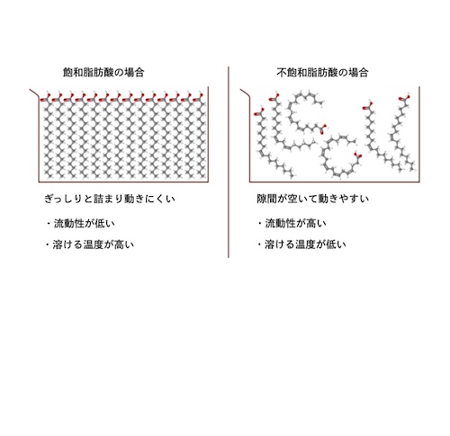 血をドロドロにする硬い油と血をサラサラにする柔らかい油