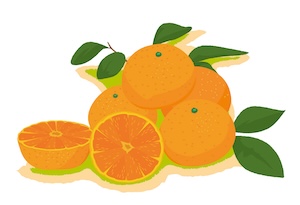 2月が旬の食べ物