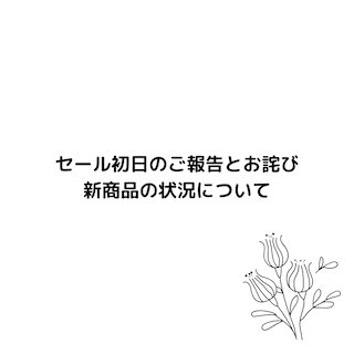 セール初日のご報告とお詫び、新商品の状況について