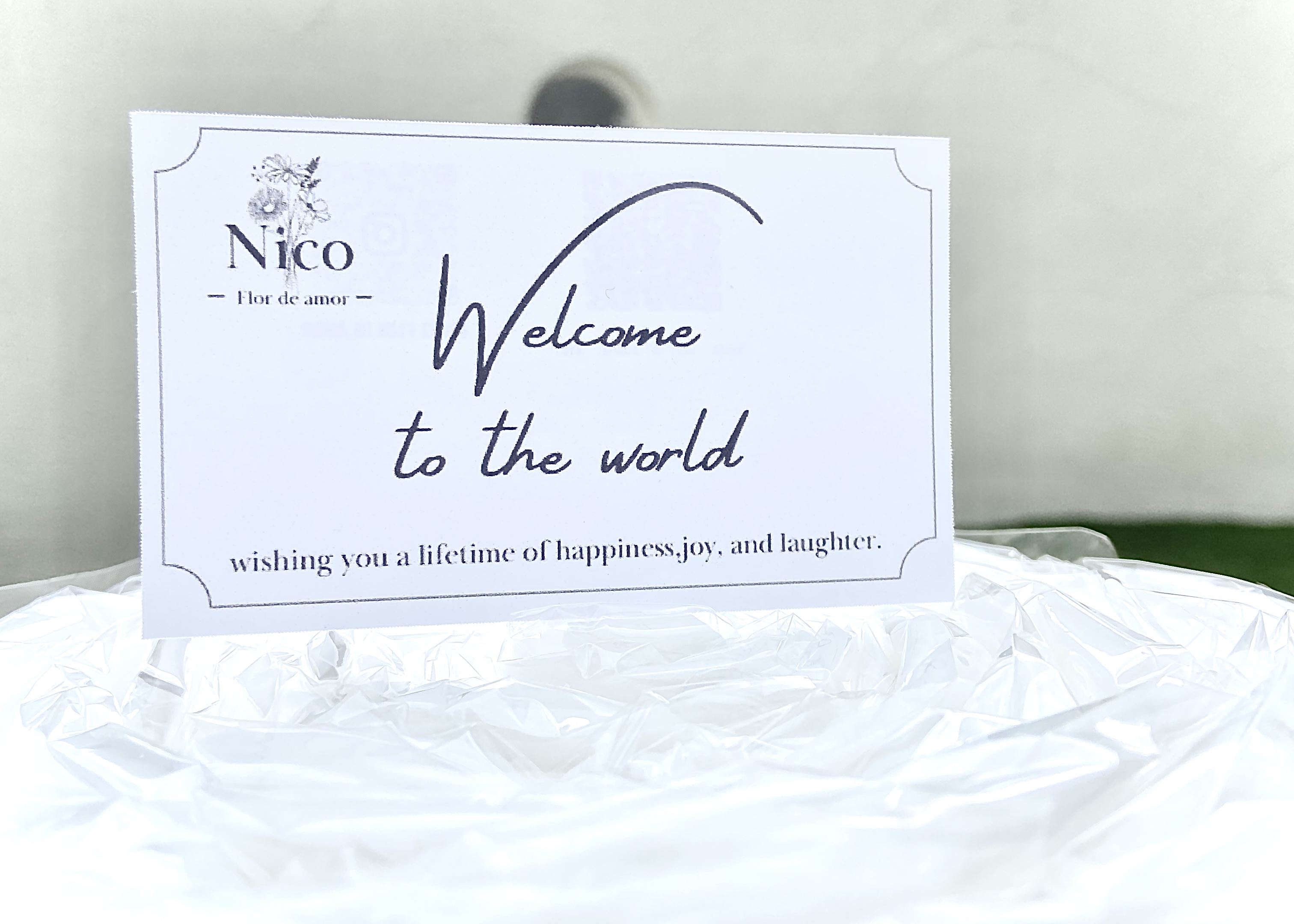 Welcome to the world