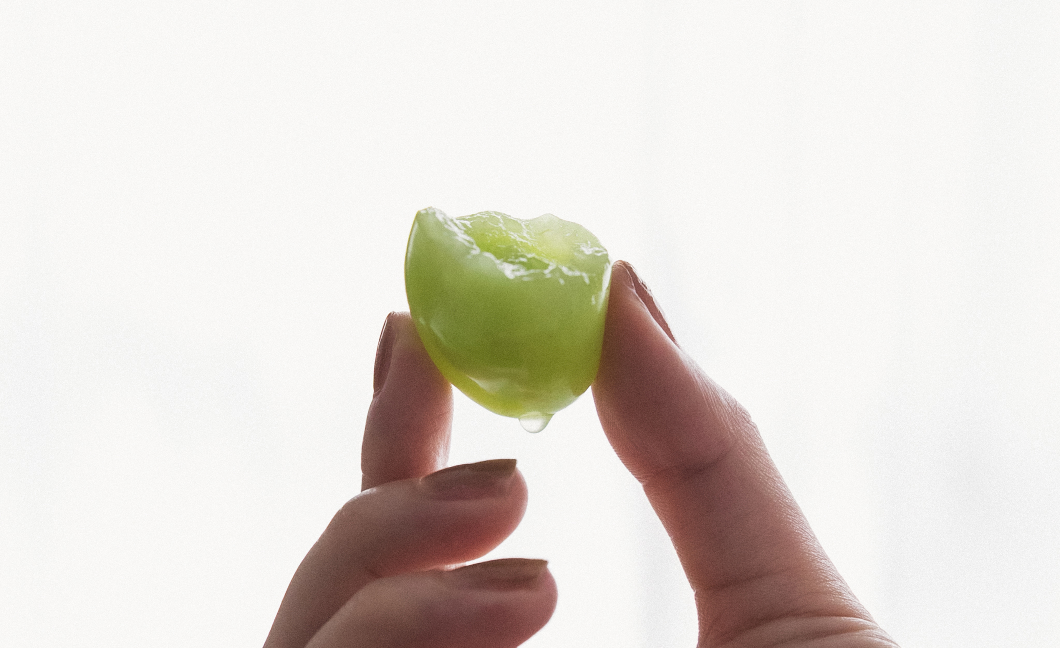 POPUP(無料試食会)を開催いたします