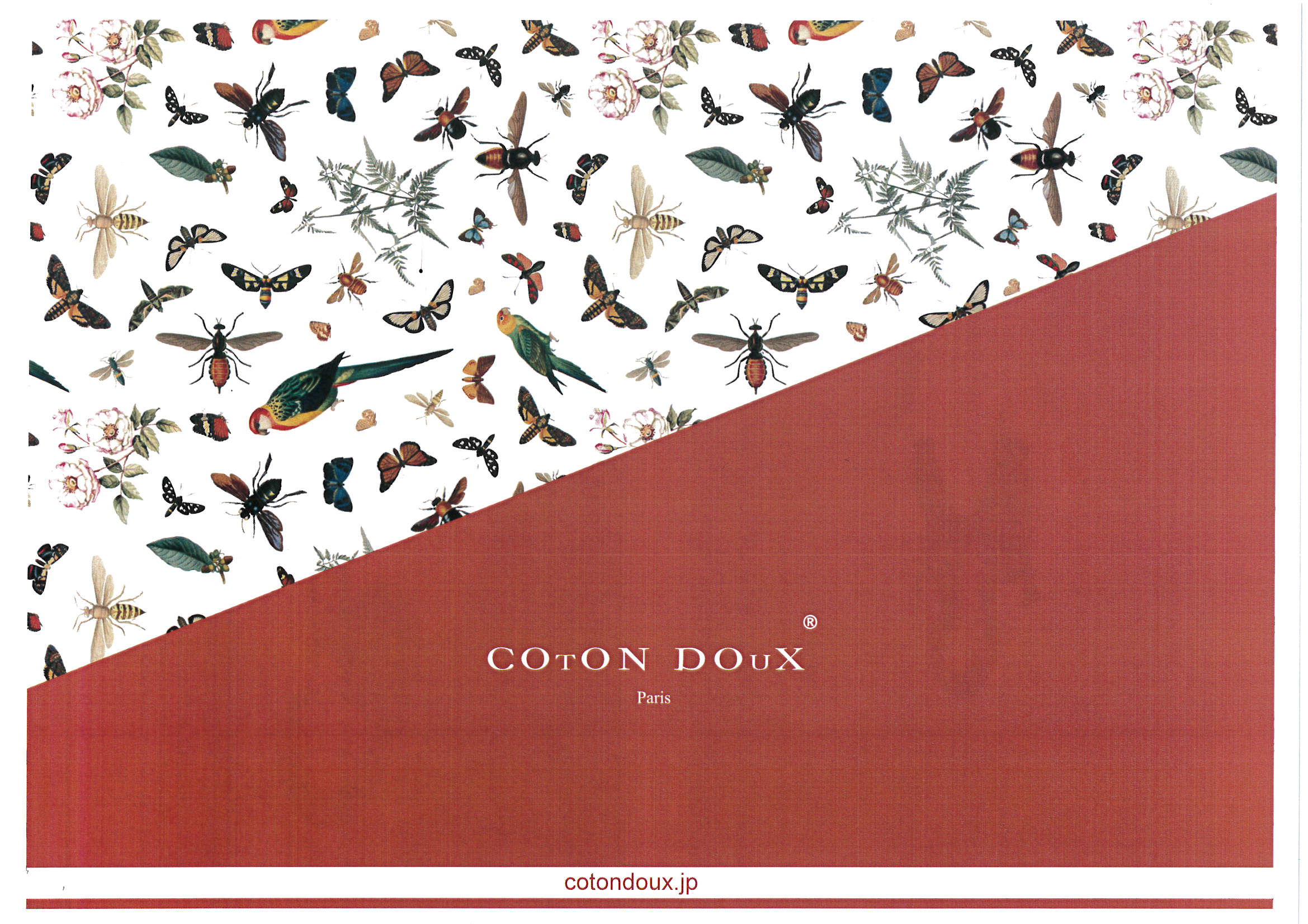 COTON DOUX 　2017SS　ご予約会のお知らせ