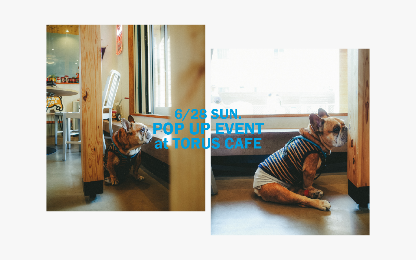 6/28 sun. POP UP EVENT at TORUS CAFE