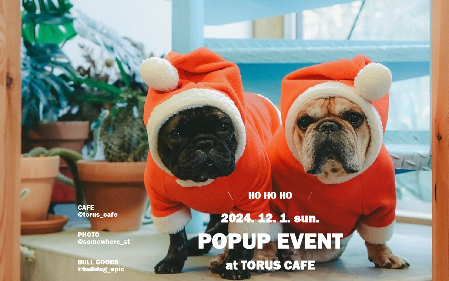 POP UP EVENT at TORUS CAFE 2024.12.01SUN.