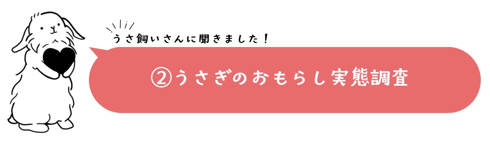 【Vol.2-1】うさぎのおもらし実態調査