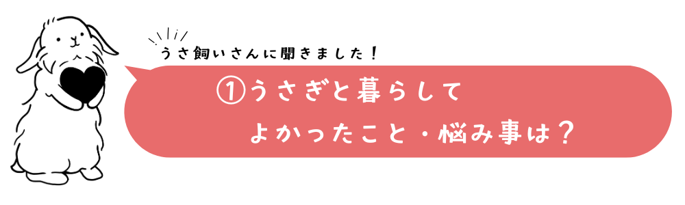 【Vol.1】うさぎと暮らしてよかったこと・悩み事は？