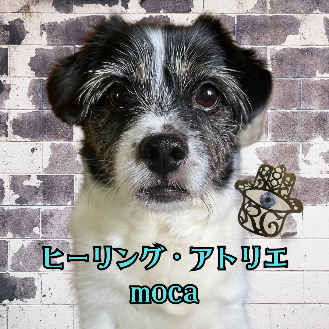 ヒーリング アトリエ✺moca✺