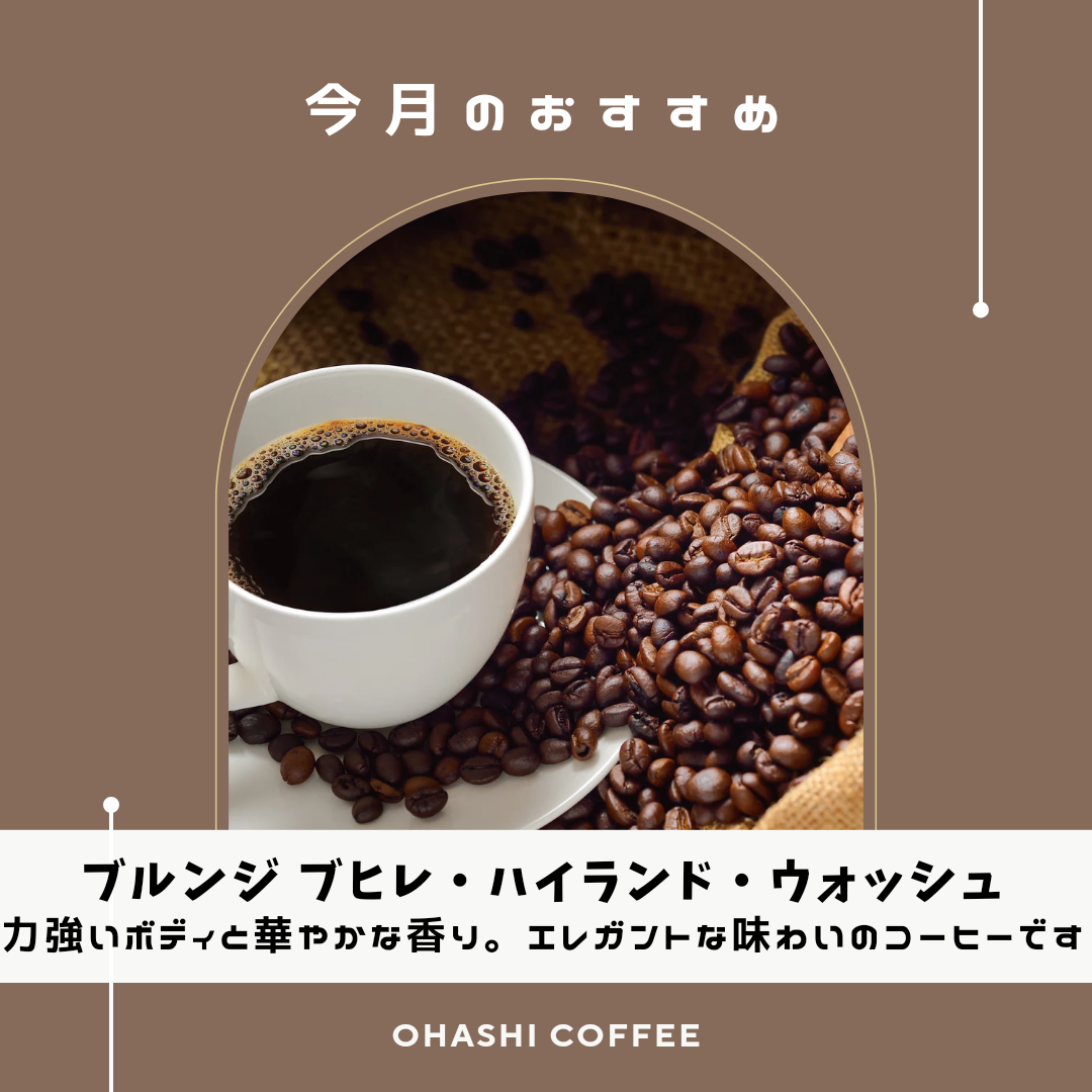 8月のおすすめ【ブルンジ】