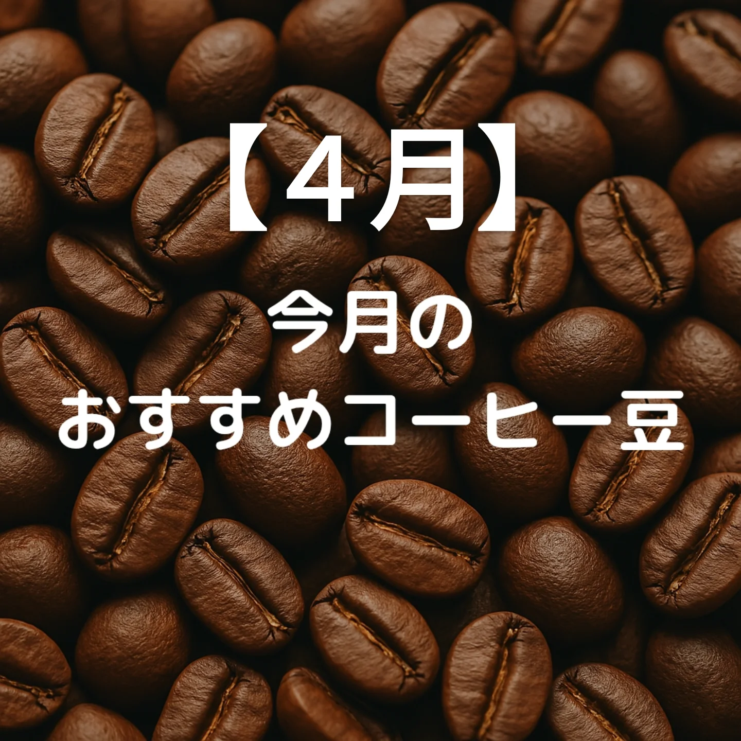 ４月のおすすめ豆
